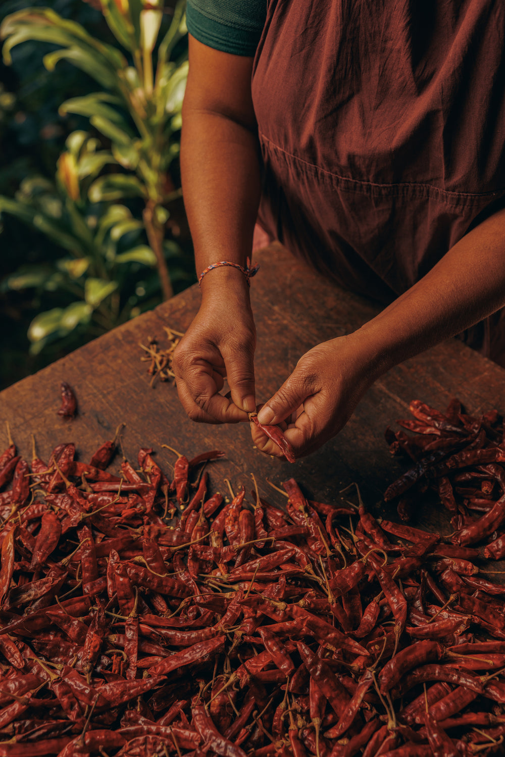 The chillies are picked when ripe and allowed to dry, before sorting and grinding  