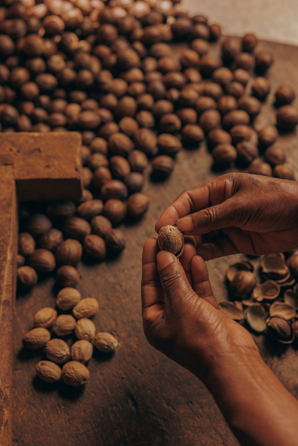 The mace is separated and the nut is dried and then cracked open by hand to reveal the nutmeg. 