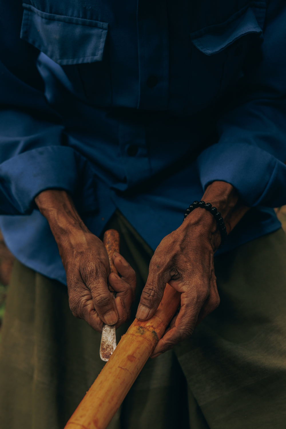 The bark of the cinnamomum verum tree is peeled, dried, and ground. Our cinnamon is a mix of older, more spicy bark, and young sweet bark.