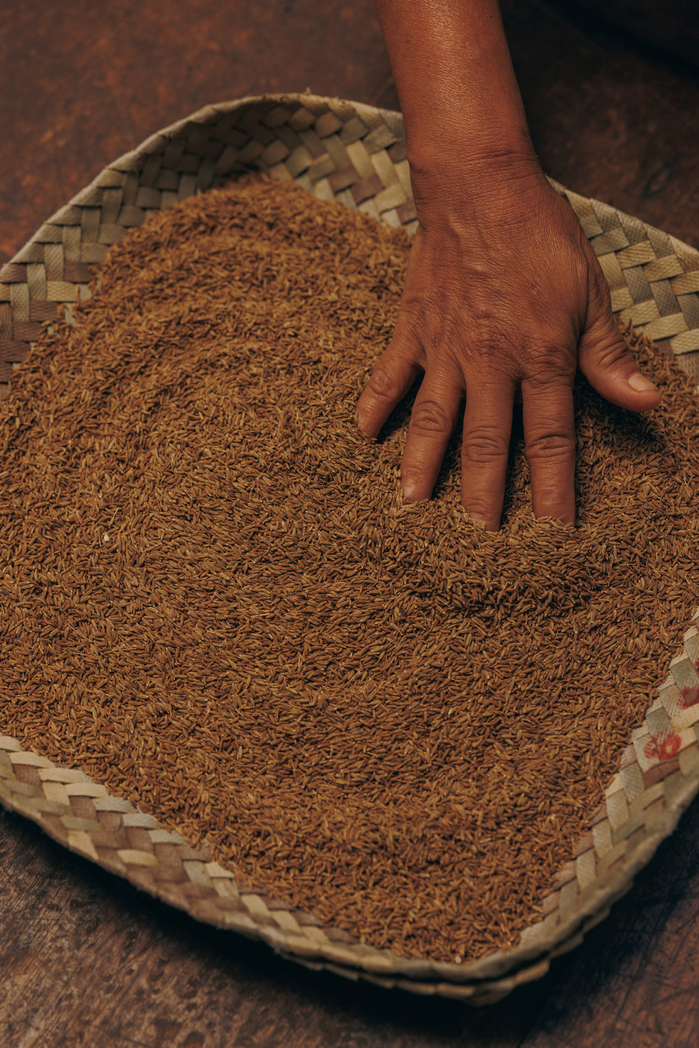 The plant is allowed to dry with seeds intact and then is uprooted and threshed to harvest the seeds. 