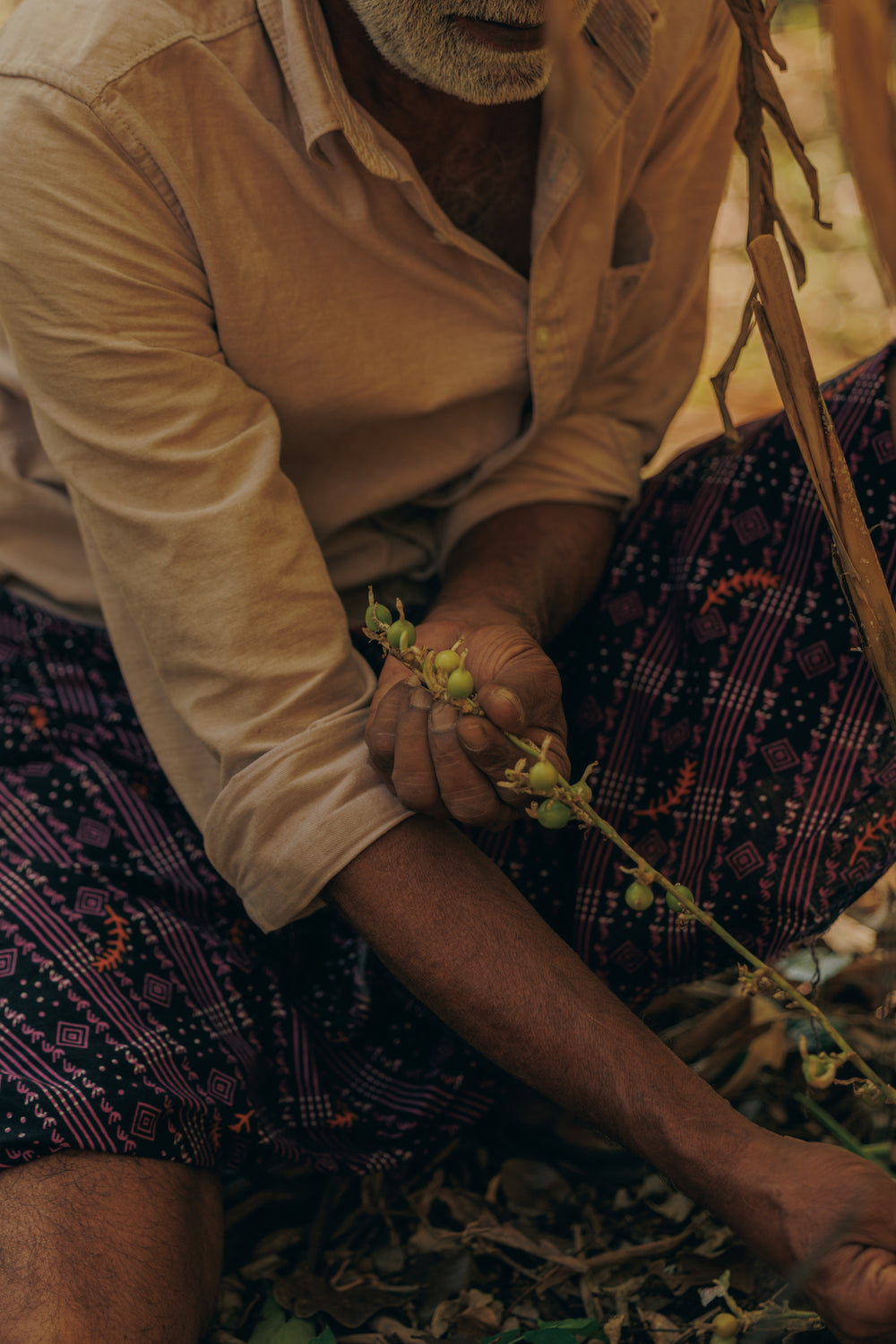 Notoriously hard to grow organically, each cardamom pod is carefully picked by hand after careful and lovely tending. 