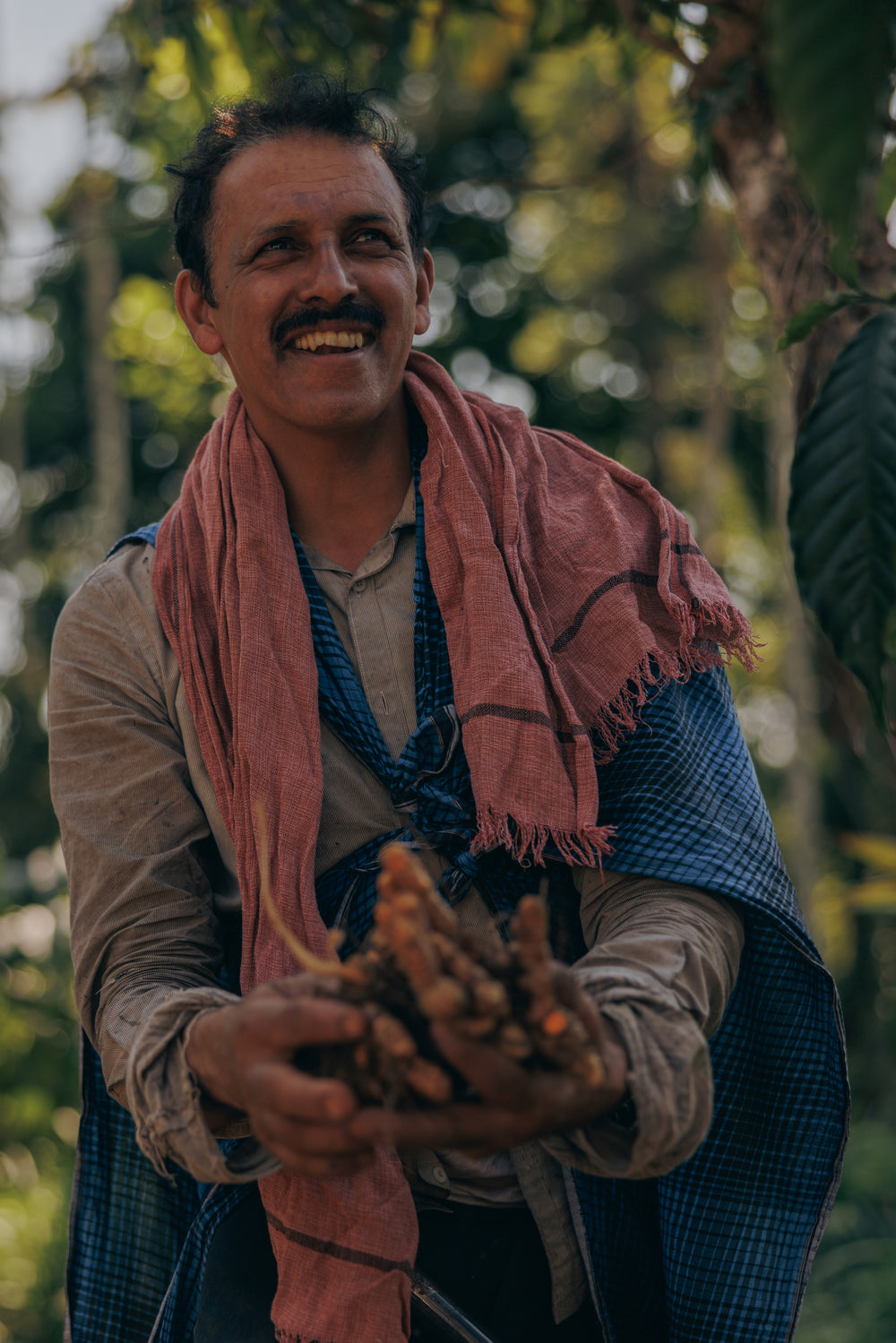 Once the root is picked and washed, it is cut into pieces before drying and grinding. 