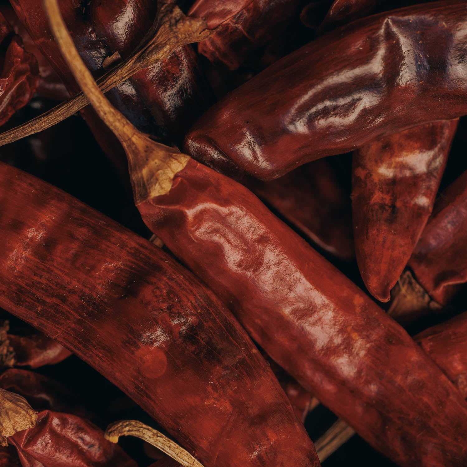 Byadgi Chilli