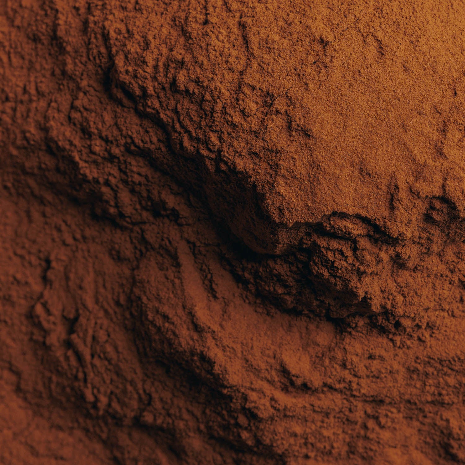 Ground Cinnamon