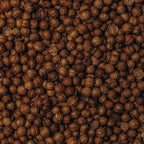 Coriander Seeds