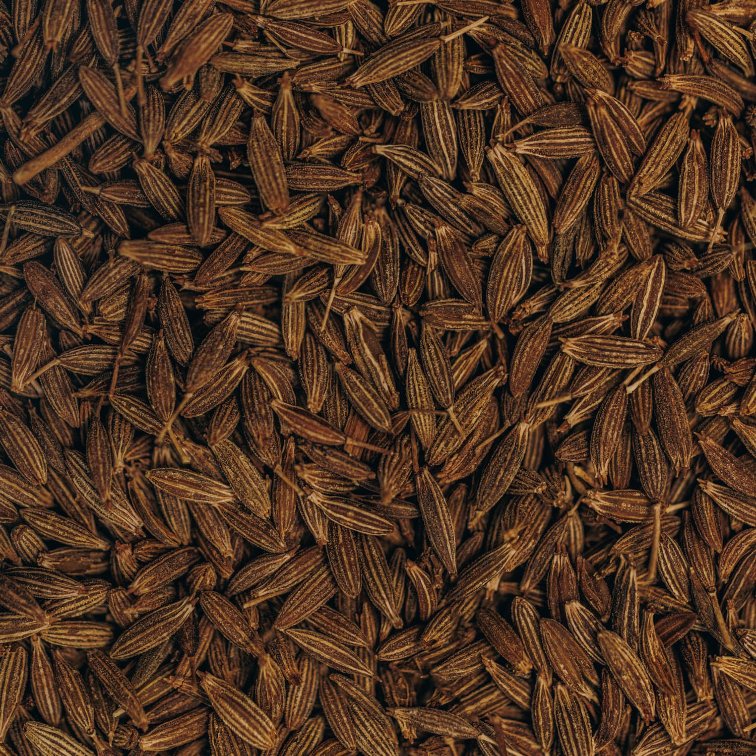 Cumin Seeds