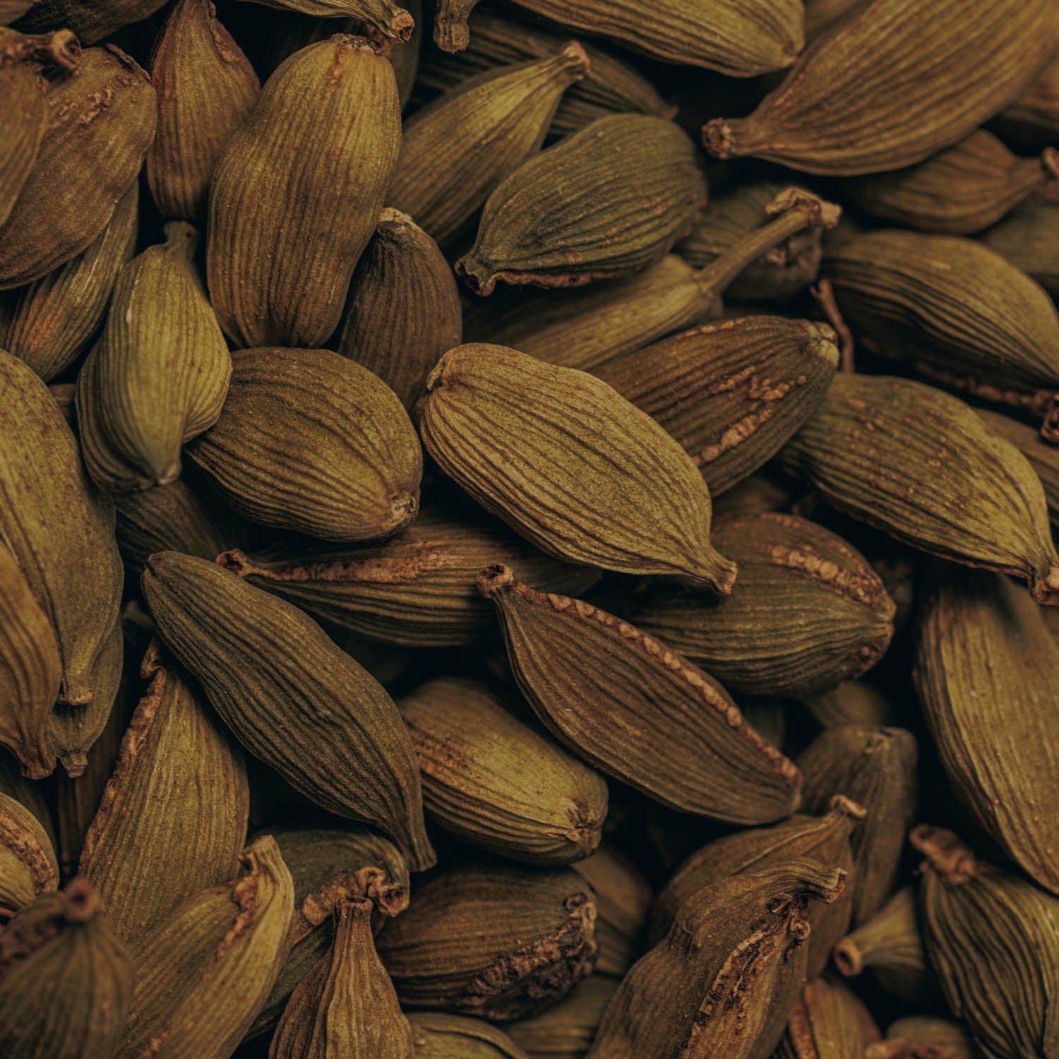 Green Cardamom